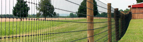 Agricultural Fencing